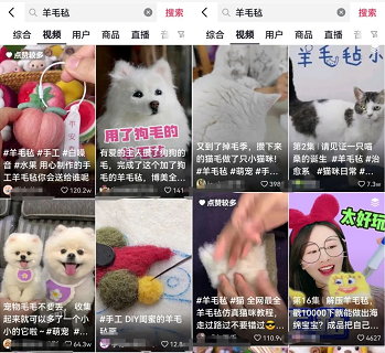 月入过万的宠物羊毛毡蓝海项目