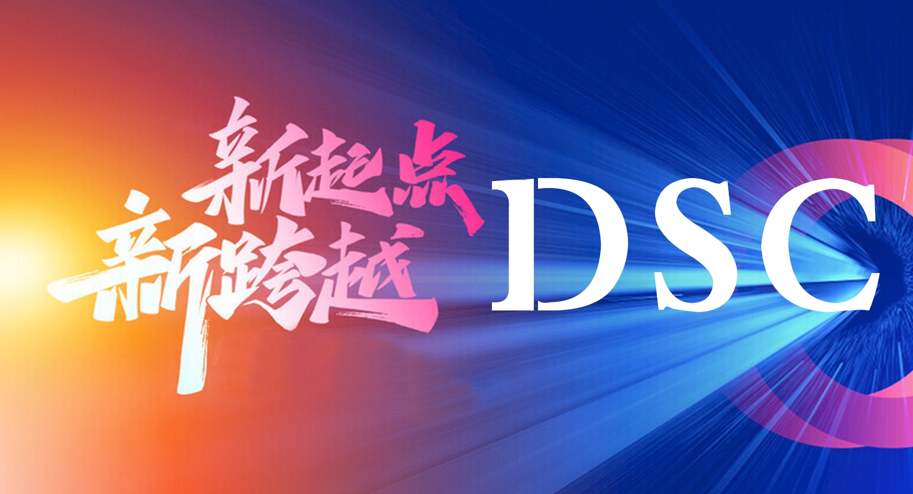 DSC，零广告、零任务、长久稳定，数据公开透明