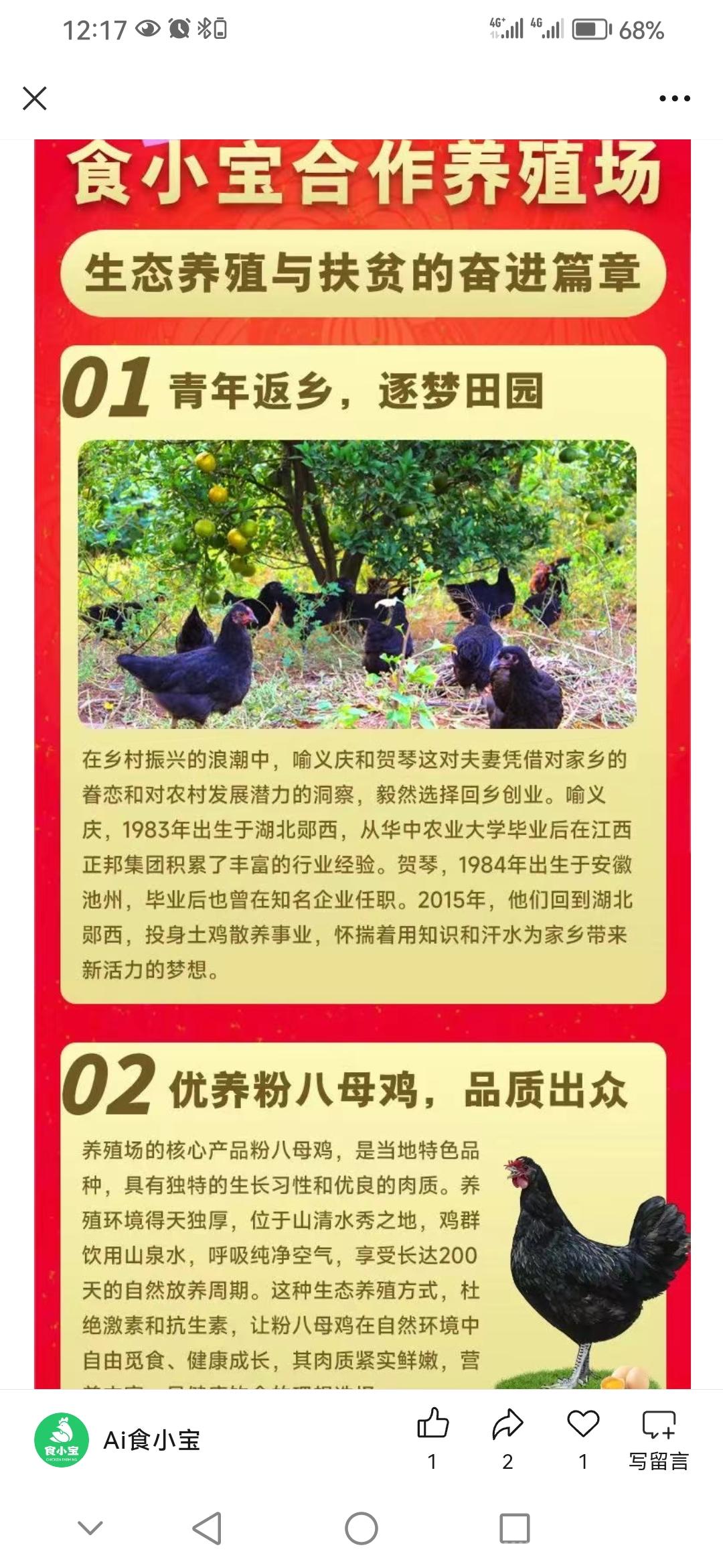 今日首码小宝养鸡刚刚上线，对接大小团长