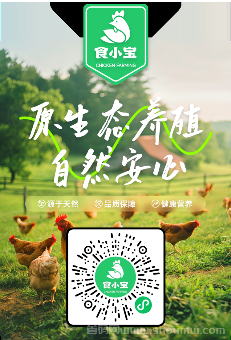 今日首码小宝养鸡刚刚上线，对接大小团长