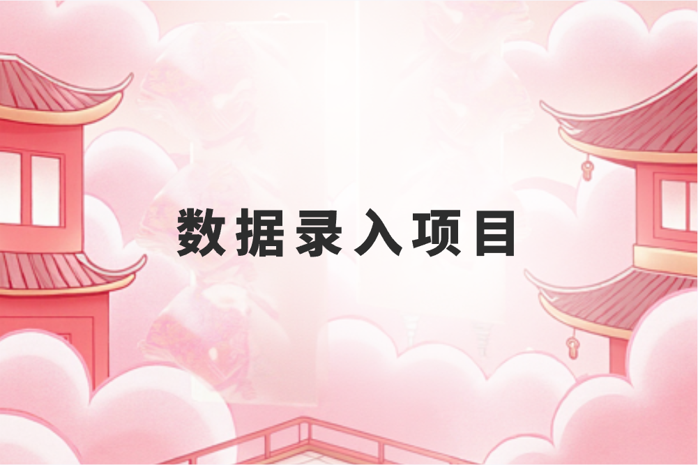 数据录入项目