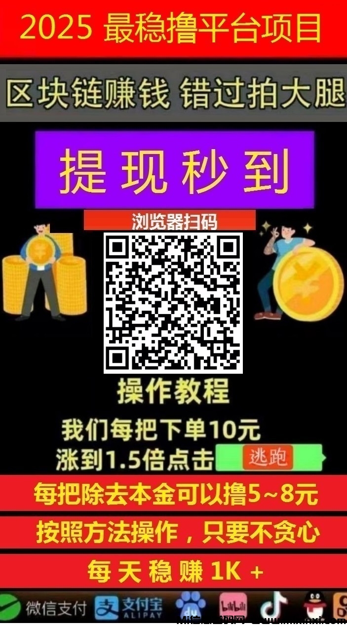 飞赚，稳赚方法，提现秒到账