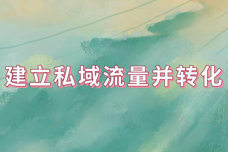 建立私域流量并转化