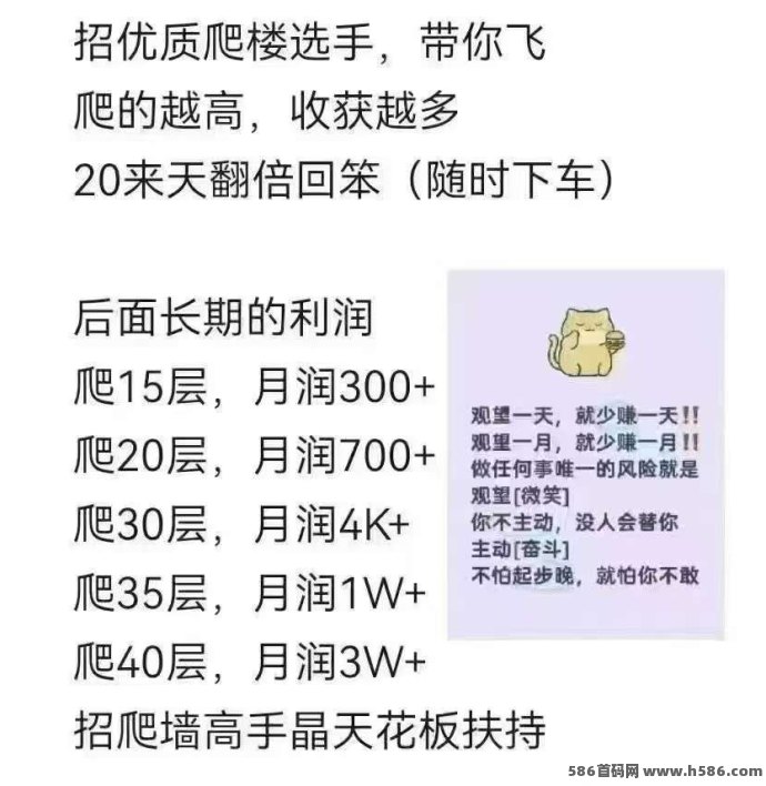 智链星途上线！招募爬级达人+人脉高手，抱团冲刺高收溢！