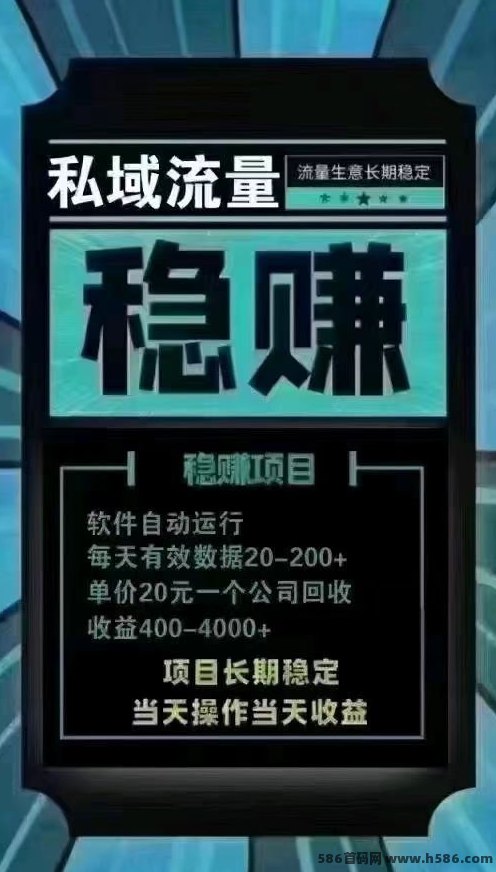 私域流量AI自动运行项目：轻松赚粉，每个粉20圆，包回收，收入稳定可持续！