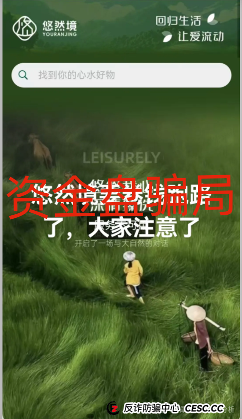 老谭深度解析：悠然境资金盘背后的套路与陷阱