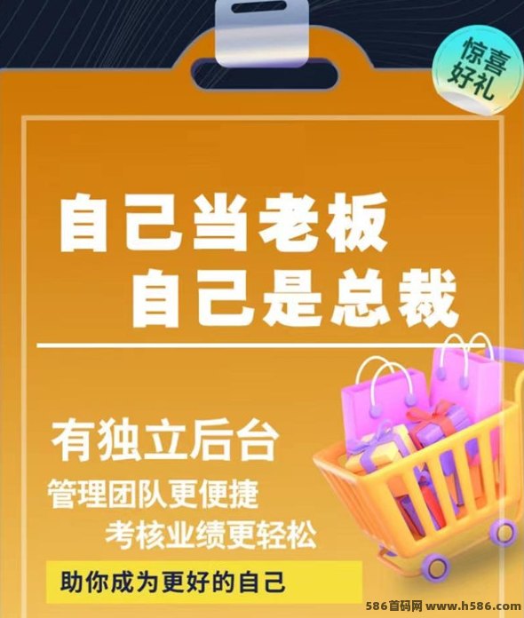 乐可乐可自动化项目上线，0基础轻松上手，单窗口日收70+，收溢稳定可观！