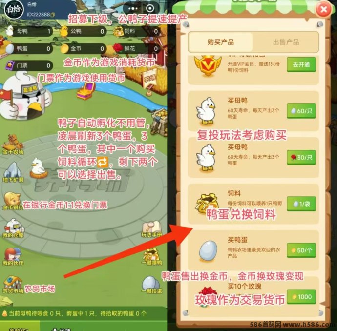 副业风口来袭：搭子在线首码上线，包赔扶持轻松起步！