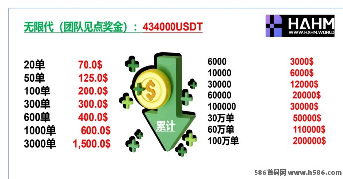 2025年度创业风口项目全面解析：HAHM哈姆平台助你低门槛撬动财富增长