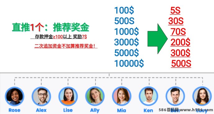 2025年度创业风口项目全面解析：HAHM哈姆平台助你低门槛撬动财富增长