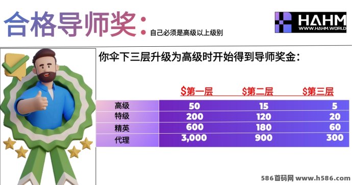 2025年度创业风口项目全面解析：HAHM哈姆平台助你低门槛撬动财富增长