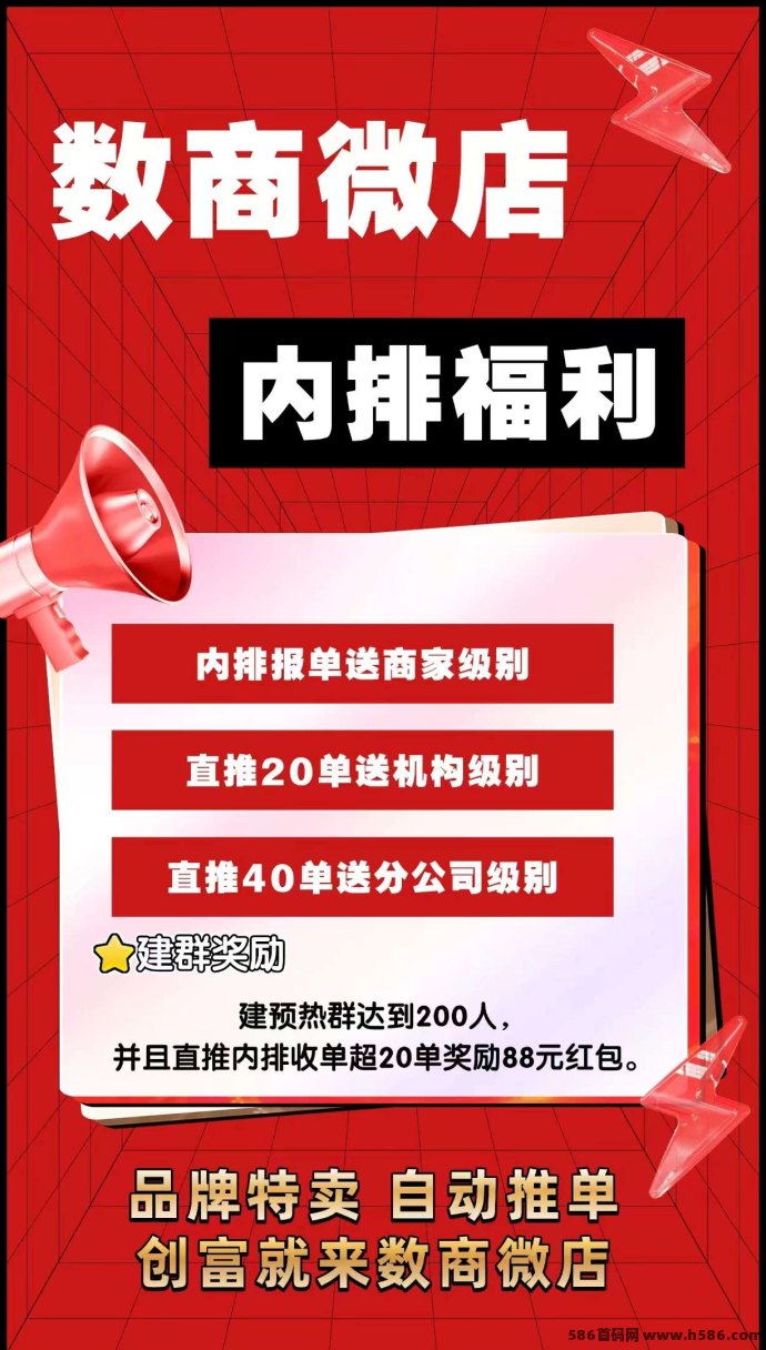 数商微店火热来袭！提前内排启动，2025年值得参与的数字创业新平台!