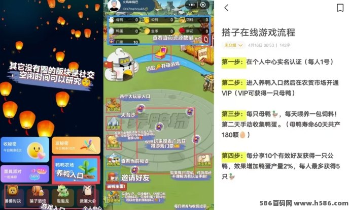 “搭子在线”首码项目来袭：养鸭得蛋换鲜花！