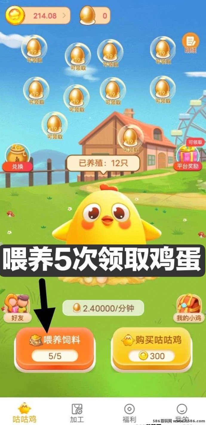 小鸡牧场：注测送10只小鸡，正向循环每天领取收溢！