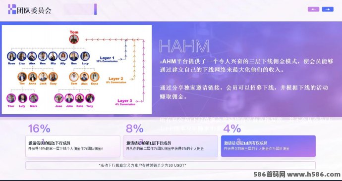 哈姆HAHM点评新风口，抓住数字流量变现机遇，实现线上财富突破！