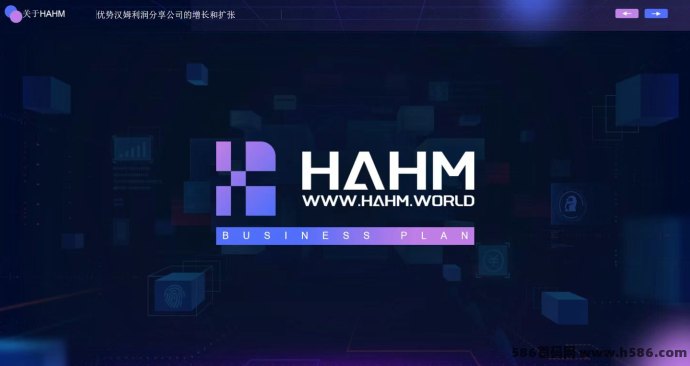 哈姆HAHM点评新风口，抓住数字流量变现机遇，实现线上财富突破！