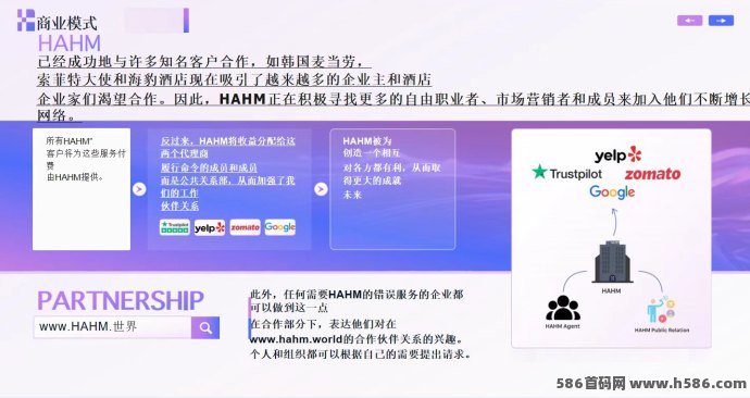 哈姆HAHM点评新风口，抓住数字流量变现机遇，实现线上财富突破！