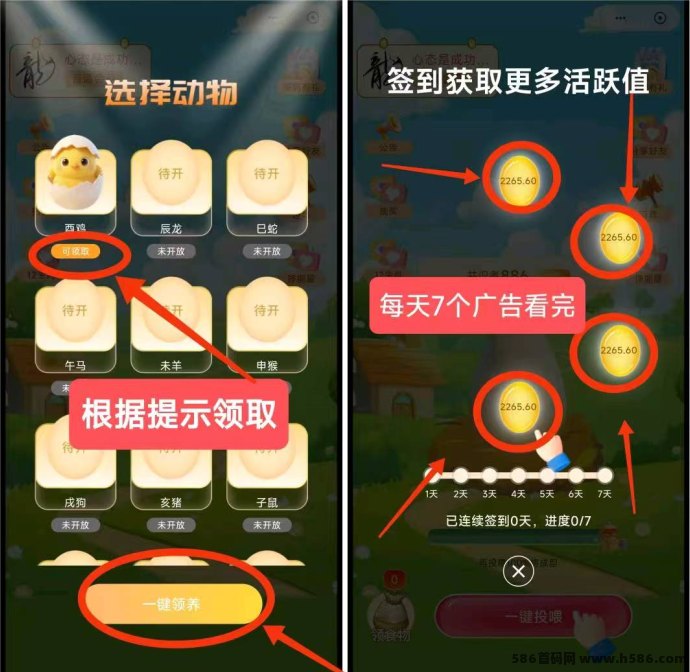 养了个蛋：蛋蛋星球二台圈圈模式开启，每日7广告轻松零撸赚收溢！