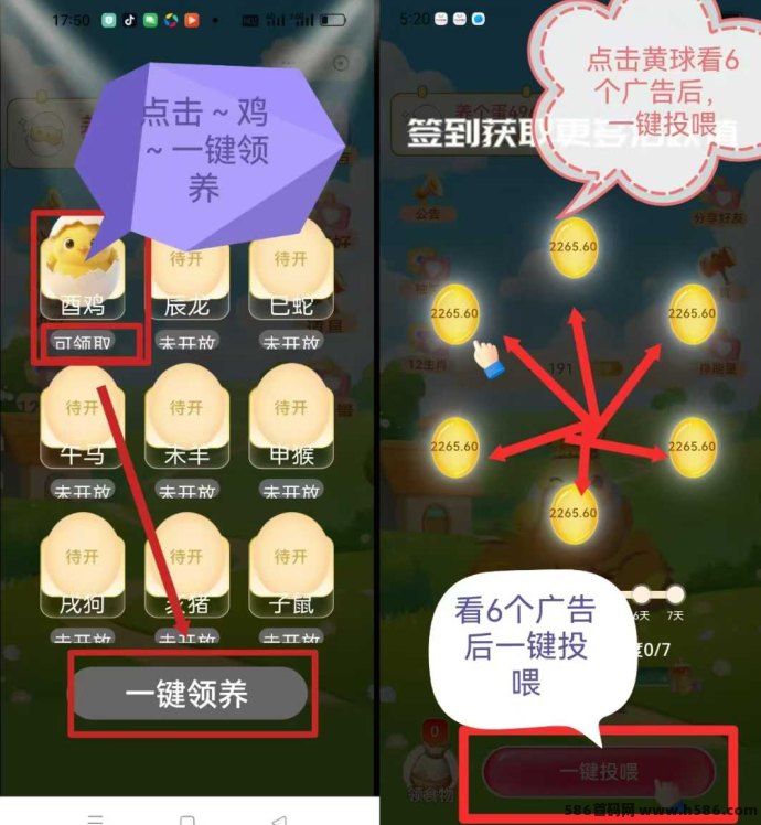 养个蛋首码上线，蛋蛋星球亲兄弟零撸模式，每天7广告签到攻略！