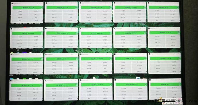 批量刷米新项目：AI问卷自动化操作，轻松赚取稳定收溢！