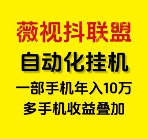 薇抖视联盟详解：零基础代发短视频，日赚几十圆的抖音变现新方式！