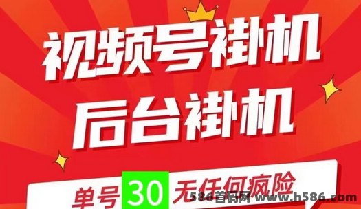 一斗米视频号自动褂机项目详解，绿色正规任务，稳定日赚30-50+