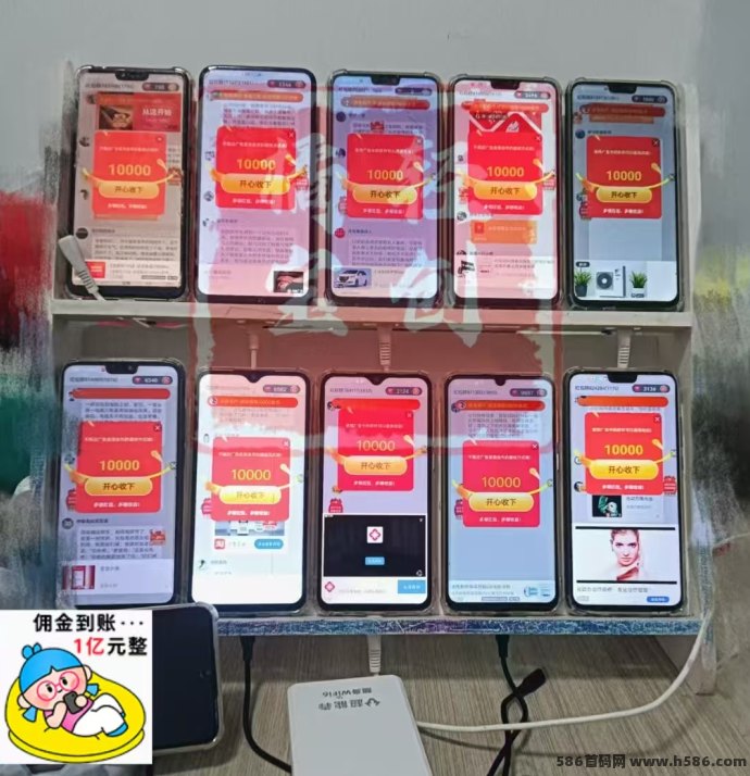 古董猫首码福利上线，单机收溢超50圆，五一开启轻松暴富模式！