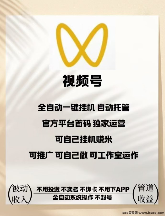 自动赚轻副业项目，自动点赞赚米工具上线！无需操作轻松日入几十圆