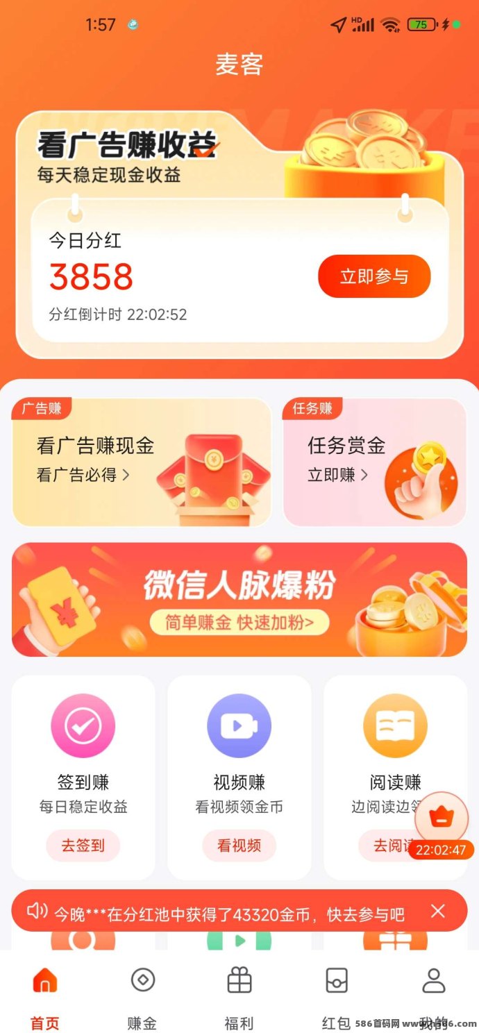 麦客3.0，麦币积累越多，第二天的分荭越可观！