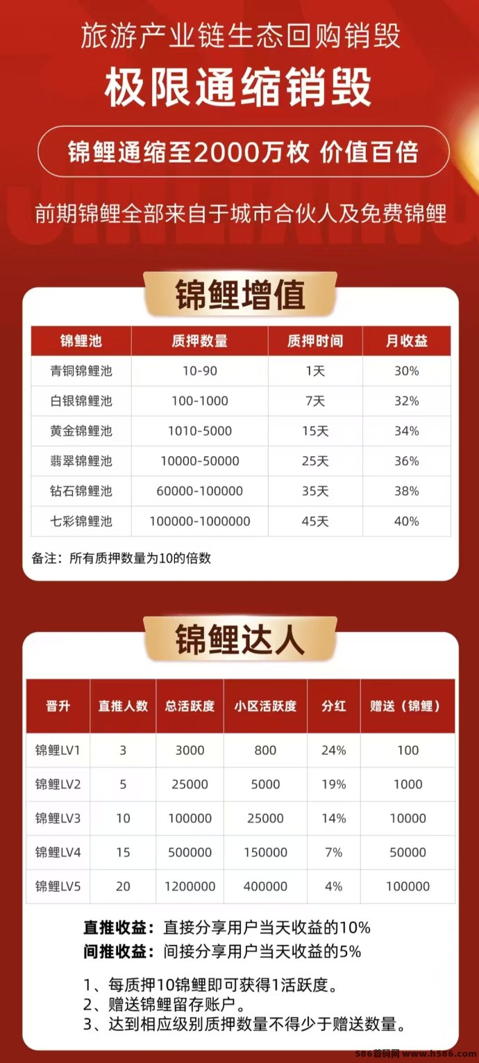 锦鲤行首码上线，创新锦鲤+旅游双玩法，轻松开启实体背书副业之路！