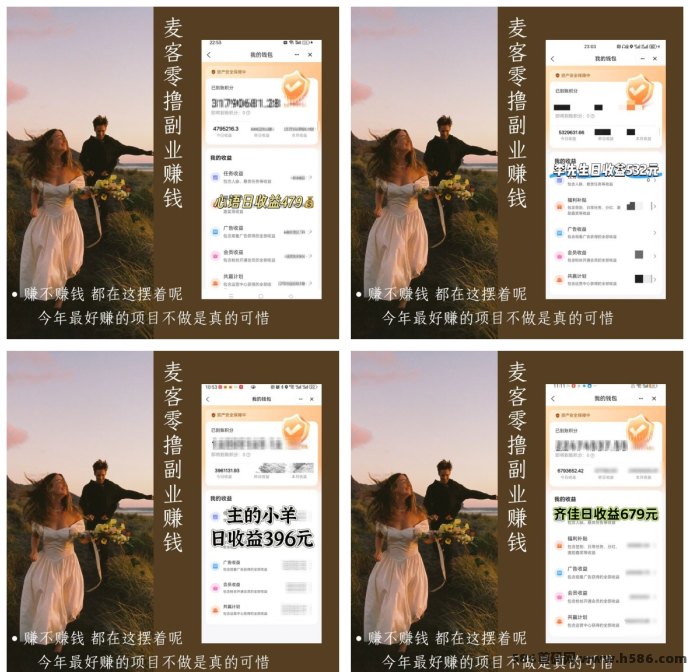 麦客平台深度解析：多板块收溢轻松赚，专业团队全程扶持带你实现财富自由！