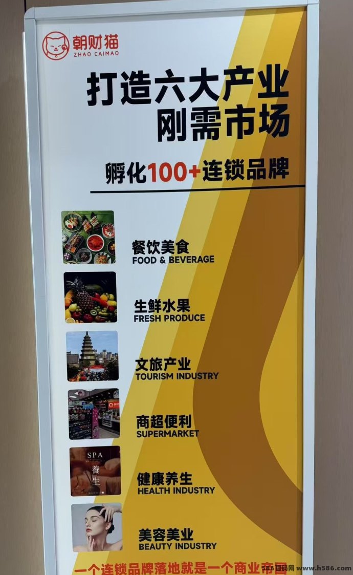 招财猫内测开启，零成本薅豆轻松薅大毛，名额有限速抢中！