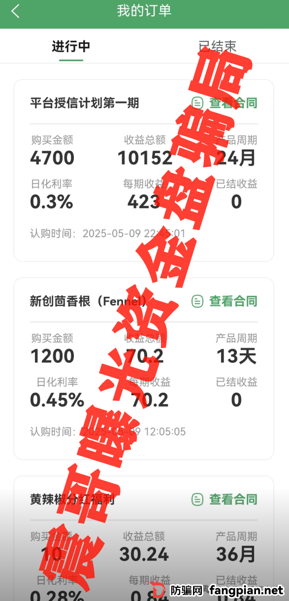 新创人SCEA最新骗局起底！震哥血泪警告：韭菜们快跑！