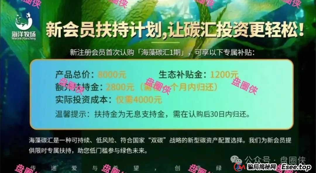 8月24日曝光：最新资金盘项目骗局，海洋牧场，益友荟，吉富基金，AiFeex（艾菲克斯）随时可能卷钱跑路
