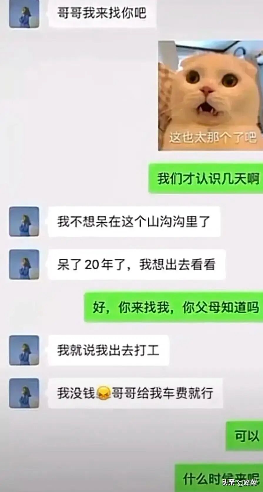 13张聊天记录曝光,原来“杀猪盘”是这样一步步让人倾家荡产的 13张聊天记录曝光,原来“杀猪盘”是这样一步步让人倾家荡产的