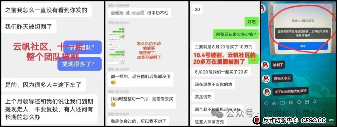 高度预警！“香港维尔利”杀猪盘全面崩盘实录：缅北遥控、专割中老年、圈钱超10亿！