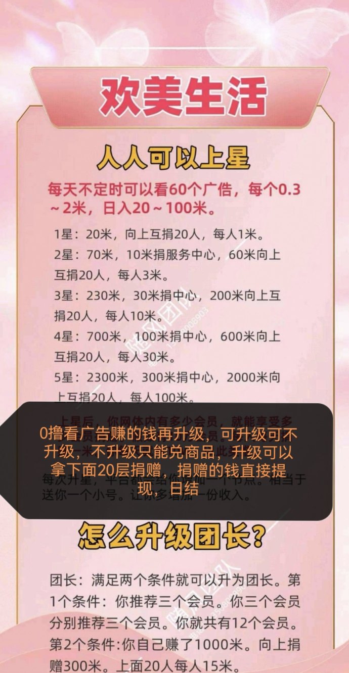 欢美广告裂变新模式来袭,20层网体布局,把握广告大风口! 欢美广告裂变新模式来袭,20层网体布局,把握广告大风口!