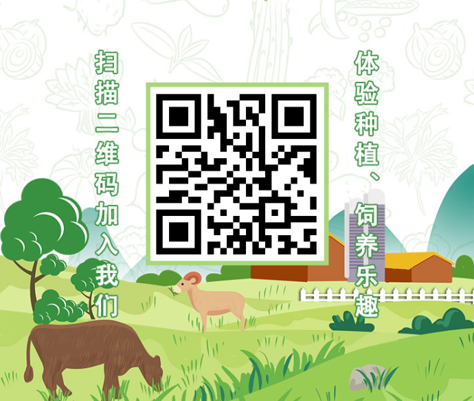 ​开心养猪：长期赚米项目，收溢清晰可见！