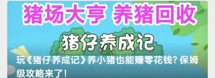 ​开心养猪：长期赚米项目，收溢清晰可见！