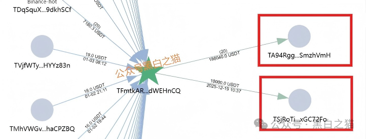 资金盘｜诈骗园区伪冒国内“斯哆伊”，拉团队搞欺诈，请保护好钱袋子......