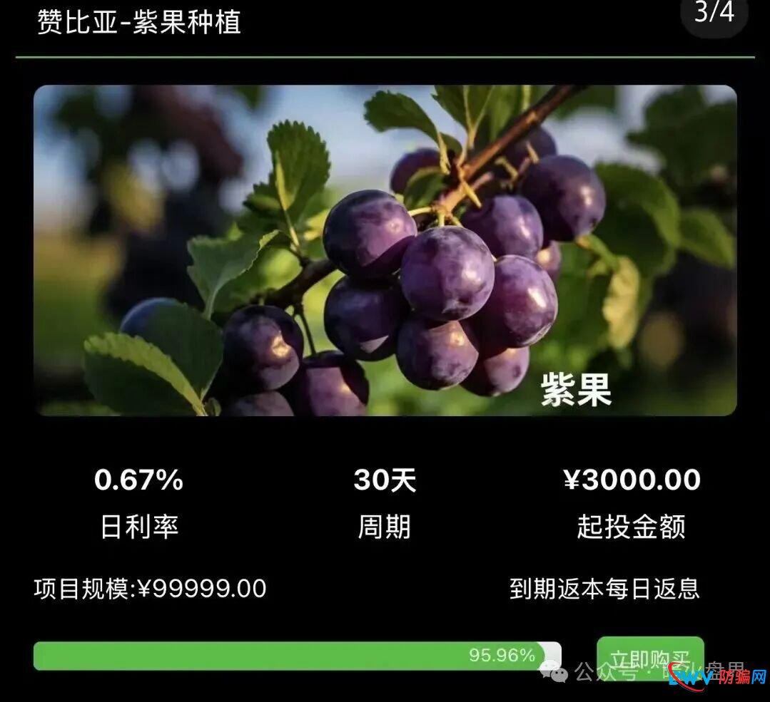 别再上当!“华洋绿投”海外种果树全是假的:高额日息、虚构品种、盗图包装,随时跑路 别再上当!“华洋绿投”海外种果树全是假的:高额日息、虚构品种、盗图包装,随时跑路