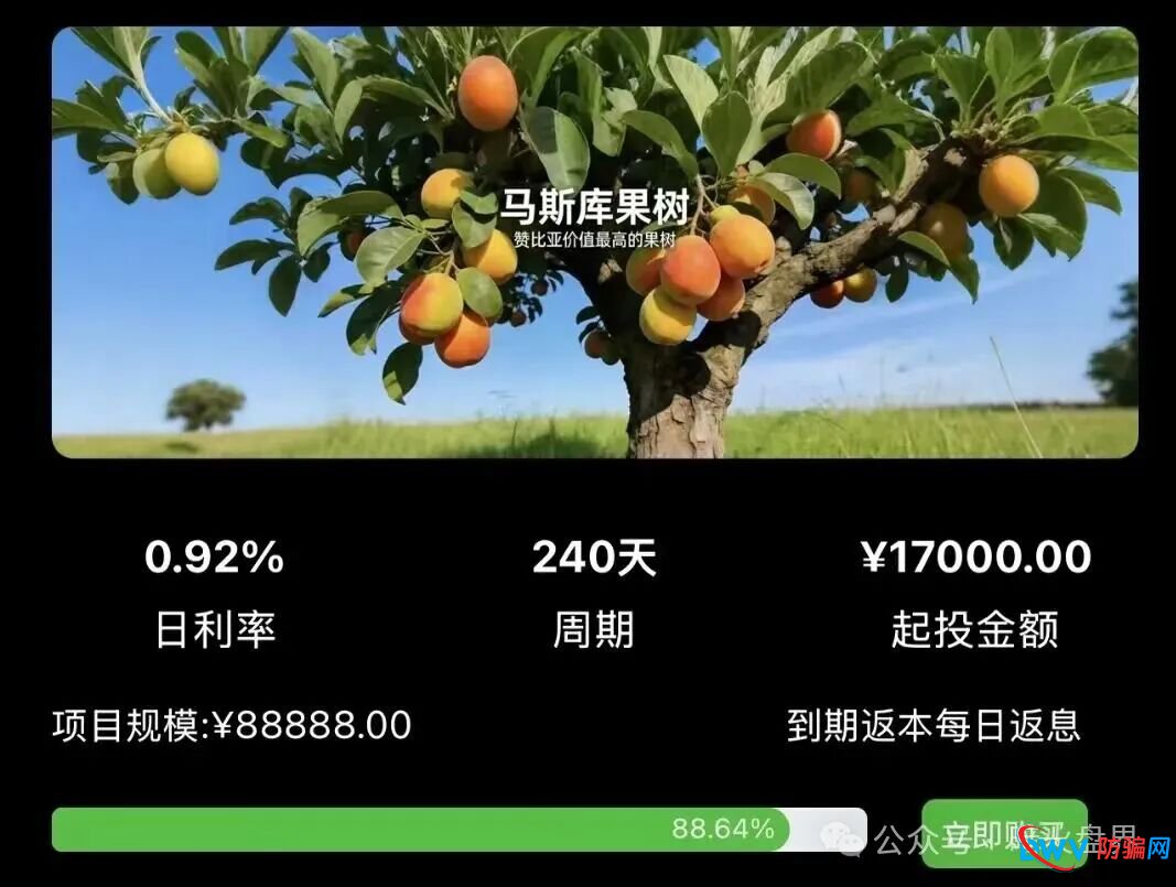 别再上当!“华洋绿投”海外种果树全是假的:高额日息、虚构品种、盗图包装,随时跑路 别再上当!“华洋绿投”海外种果树全是假的:高额日息、虚构品种、盗图包装,随时跑路