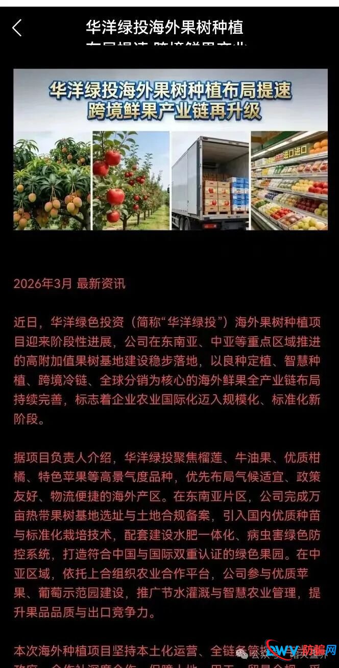 别再上当!“华洋绿投”海外种果树全是假的:高额日息、虚构品种、盗图包装,随时跑路 别再上当!“华洋绿投”海外种果树全是假的:高额日息、虚构品种、盗图包装,随时跑路