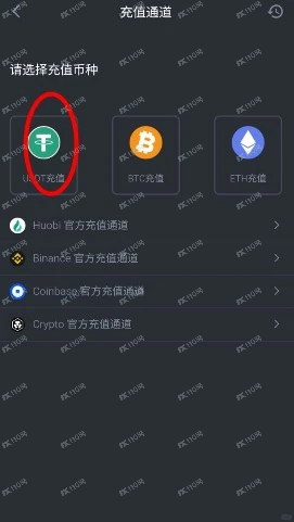 COSLD虚拟货币杀猪盘