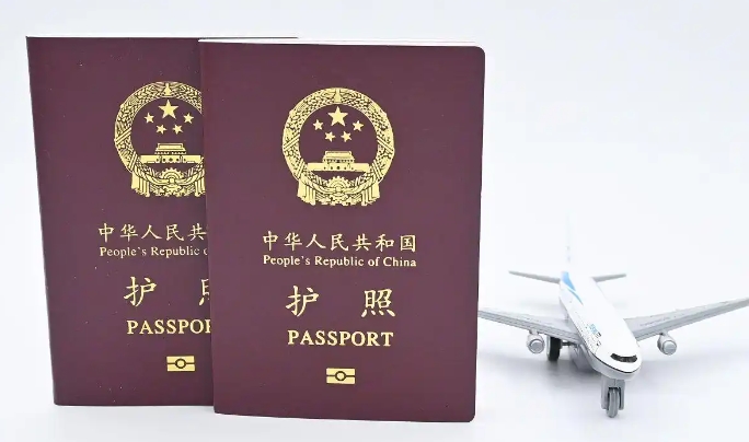 帮人办签证信息差项目，一个月赚几十万