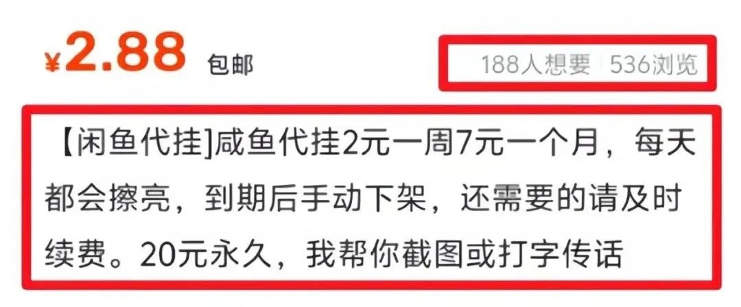 闲鱼代挂项目玩法，新手小白轻松上手，多号操作单月收益5000+(2)