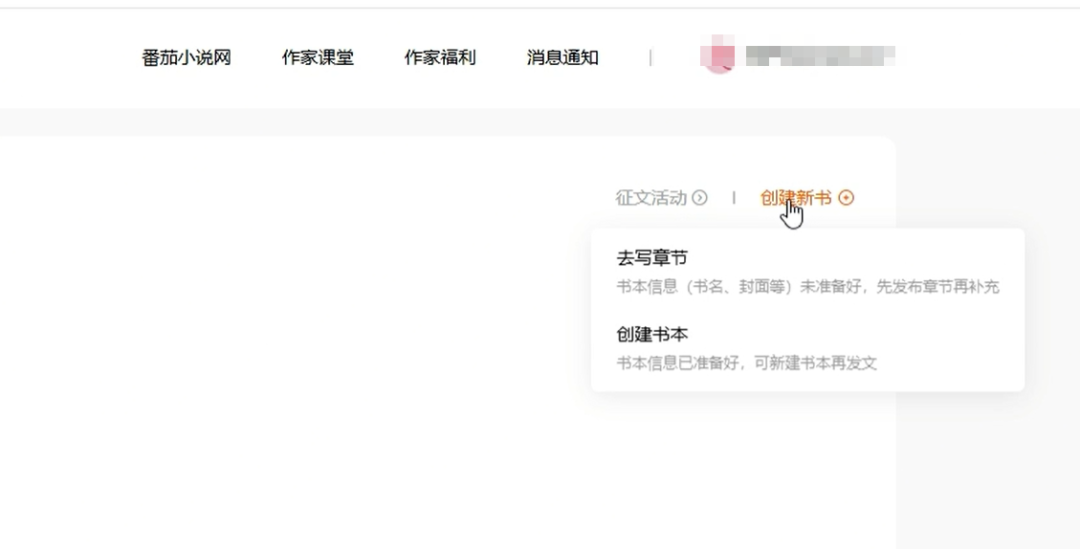ai一键生成小说项目，操作简单，人人可做，一天变现500+(7)