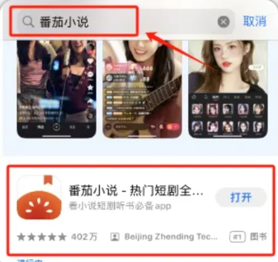 番茄小说零撸羊毛项目！一部手机就可操作，一天变现100+(2)