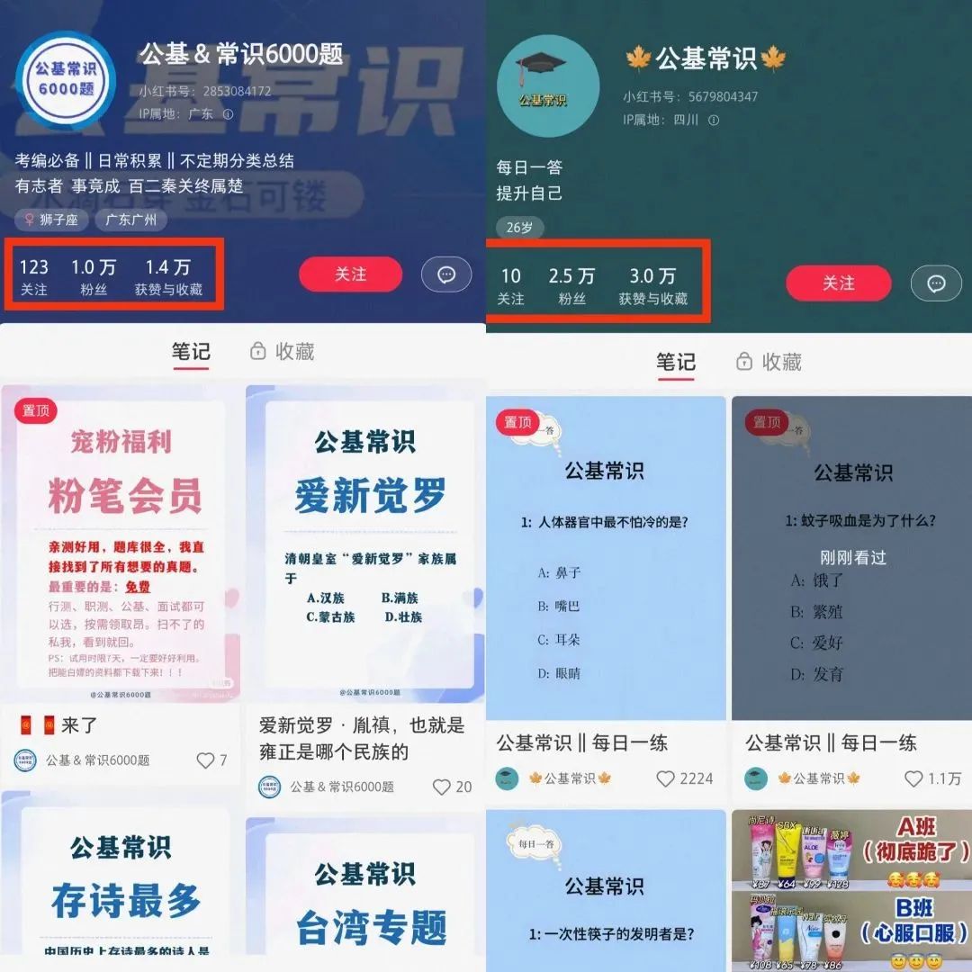 小红书商单最新玩法，一单变现200+，新手小白轻松上手(2)