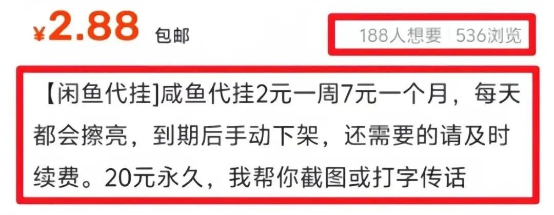 闲鱼代挂项目玩法，新手小白轻松上手，多号操作单月收益5000+(1)